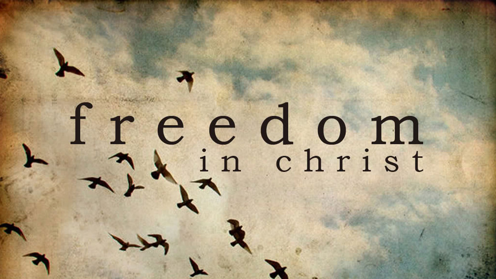 Freedom In Christ